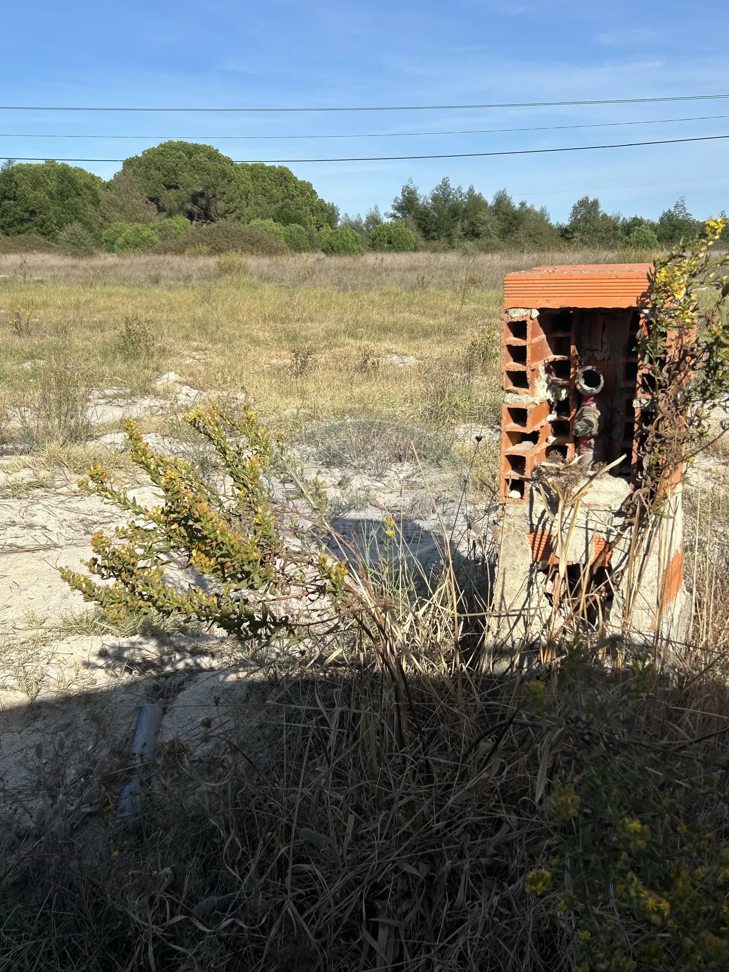 Terrain urbain à Pegões